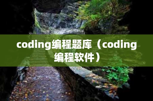 coding编程题库（coding编程软件）