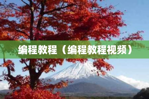 编程教程（编程教程视频）