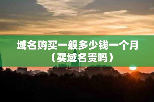 域名购买一般多少钱一个月（买域名贵吗）