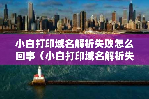小白打印域名解析失败怎么回事（小白打印域名解析失败怎么回事儿）