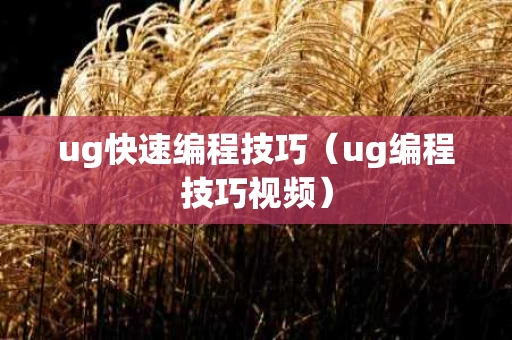 ug快速编程技巧（ug编程技巧视频）
