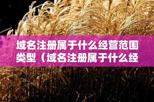域名注册属于什么经营范围类型（域名注册属于什么经营范围类型的）