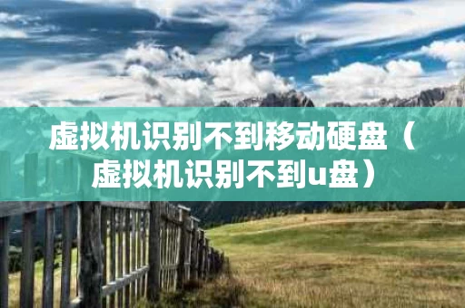 虚拟机识别不到移动硬盘（虚拟机识别不到u盘）