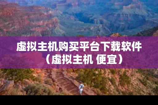 虚拟主机购买平台下载软件（虚拟主机 便宜）