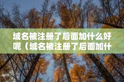 域名被注册了后面加什么好呢（域名被注册了后面加什么好呢）