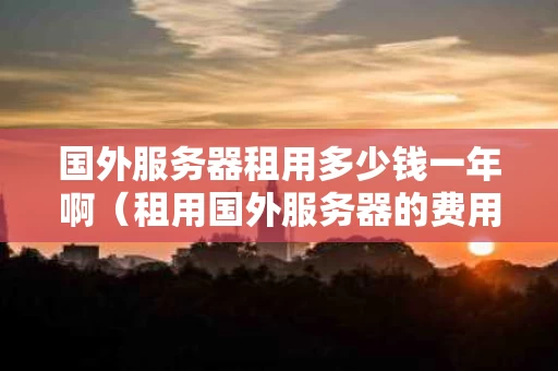 国外服务器租用多少钱一年啊（租用国外服务器的费用一年多少）