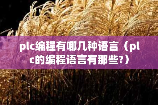 plc编程有哪几种语言（plc的编程语言有那些?）