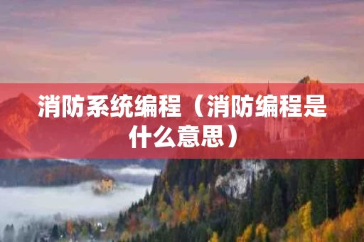 消防系统编程（消防编程是什么意思）