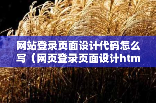 网站登录页面设计代码怎么写（网页登录页面设计html）