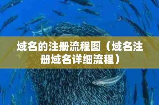 域名的注册流程图（域名注册域名详细流程）