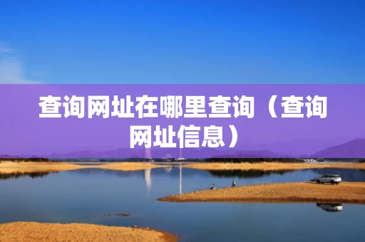 查询网址在哪里查询（查询网址信息）