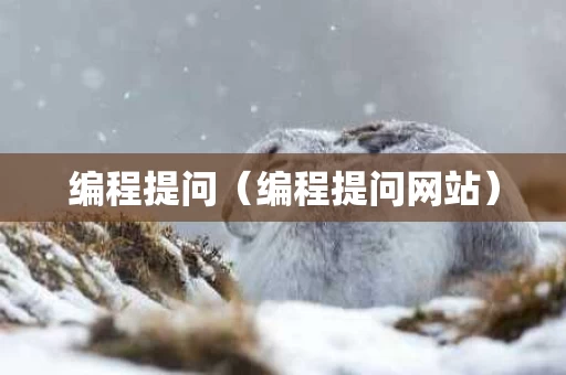 编程提问（编程提问网站）