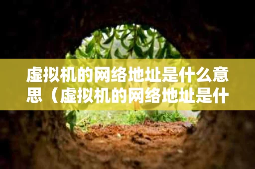 虚拟机的网络地址是什么意思（虚拟机的网络地址是什么意思啊）