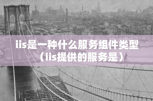 iis是一种什么服务组件类型（iis提供的服务是）