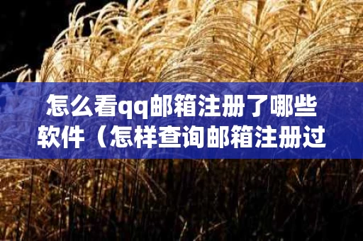怎么看qq邮箱注册了哪些软件（怎样查询邮箱注册过的软件）