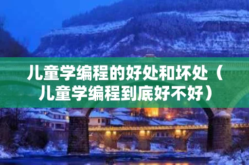 儿童学编程的好处和坏处（儿童学编程到底好不好）