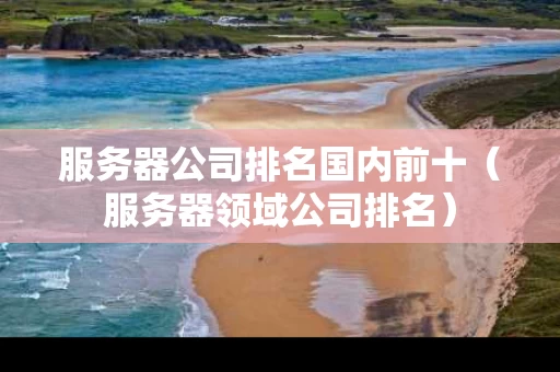 服务器公司排名国内前十（服务器领域公司排名）
