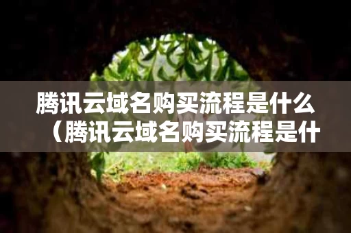 腾讯云域名购买流程是什么（腾讯云域名购买流程是什么意思）