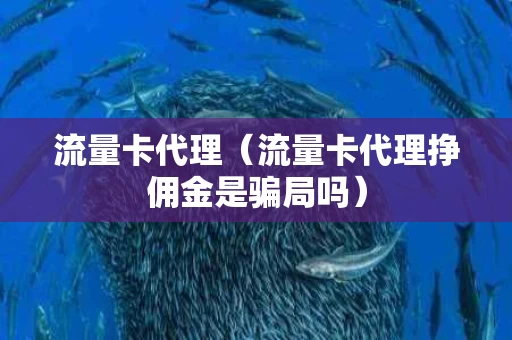 流量卡代理（流量卡代理挣佣金是骗局吗）
