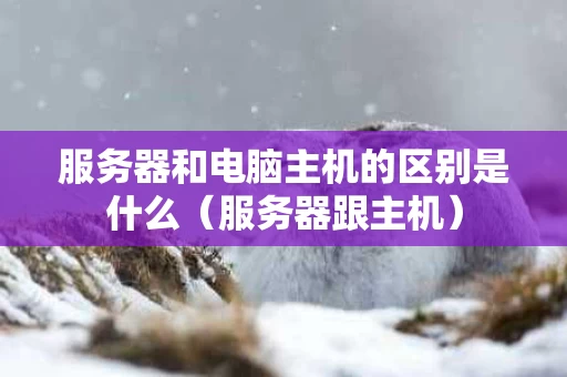 服务器和电脑主机的区别是什么（服务器跟主机）