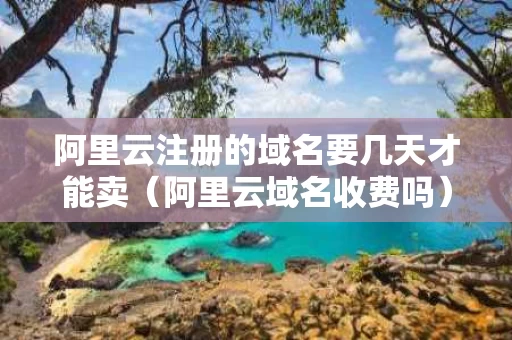 阿里云注册的域名要几天才能卖（阿里云域名收费吗）
