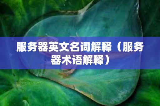 服务器英文名词解释（服务器术语解释）