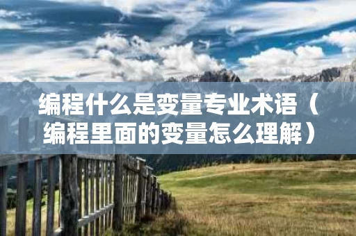 编程什么是变量专业术语（编程里面的变量怎么理解）