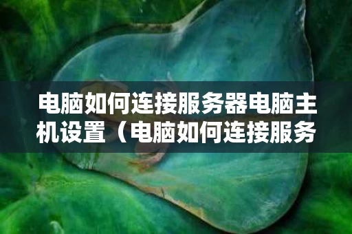电脑如何连接服务器电脑主机设置（电脑如何连接服务器电脑主机设置网络）