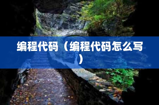 编程代码（编程代码怎么写）