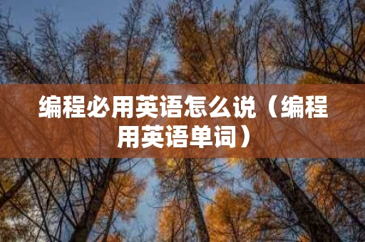 编程必用英语怎么说（编程用英语单词）