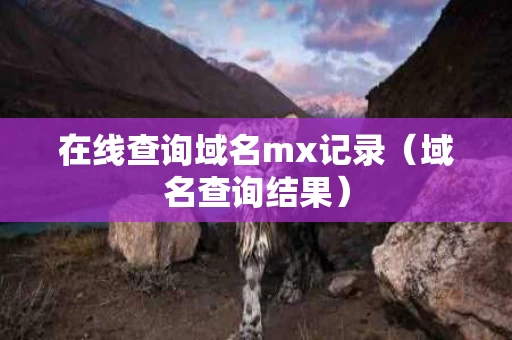 在线查询域名mx记录（域名查询结果）