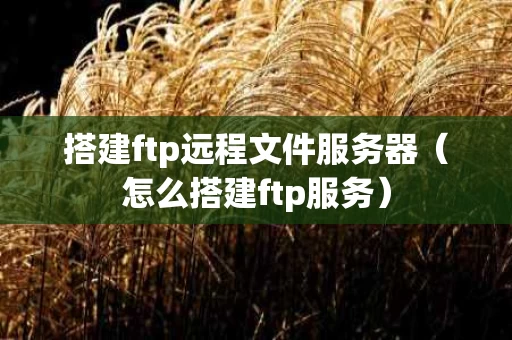 搭建ftp远程文件服务器（怎么搭建ftp服务）