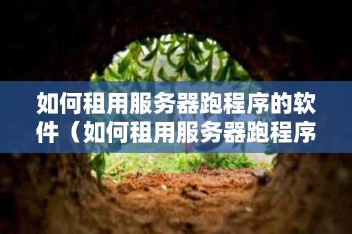 如何租用服务器跑程序的软件（如何租用服务器跑程序的软件呢）