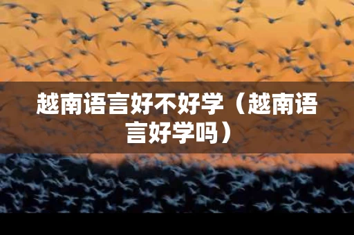 越南语言好不好学（越南语言好学吗）