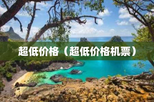 超低价格（超低价格机票）