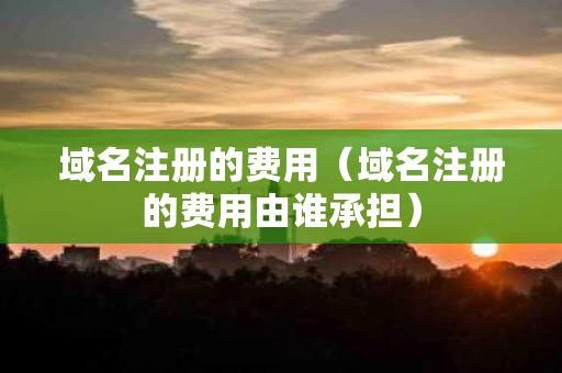 域名注册的费用（域名注册的费用由谁承担）