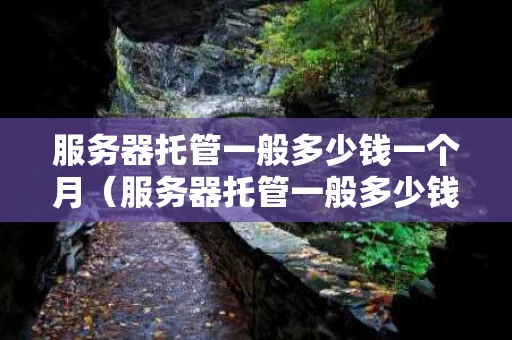 服务器托管一般多少钱一个月（服务器托管一般多少钱一个月啊）