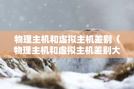 物理主机和虚拟主机差别（物理主机和虚拟主机差别大吗）