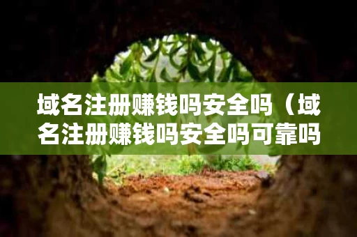 域名注册赚钱吗安全吗（域名注册赚钱吗安全吗可靠吗）
