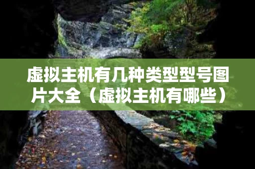 虚拟主机有几种类型型号图片大全（虚拟主机有哪些）
