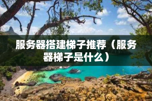 服务器搭建梯子推荐（服务器梯子是什么）
