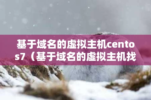 基于域名的虚拟主机centos7（基于域名的虚拟主机找不到服务器）
