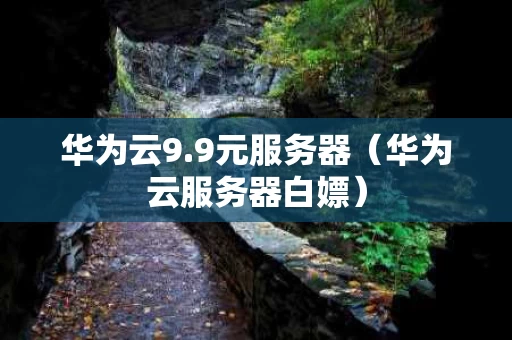 华为云9.9元服务器（华为云服务器白嫖）
