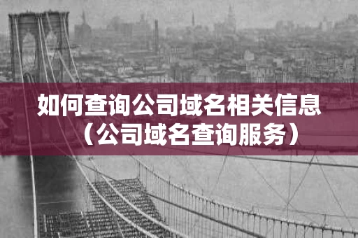 如何查询公司域名相关信息（公司域名查询服务）