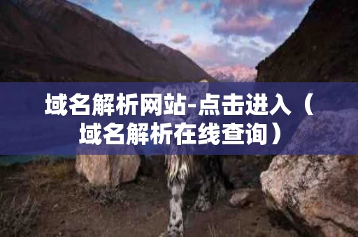 域名解析网站-点击进入（域名解析在线查询）