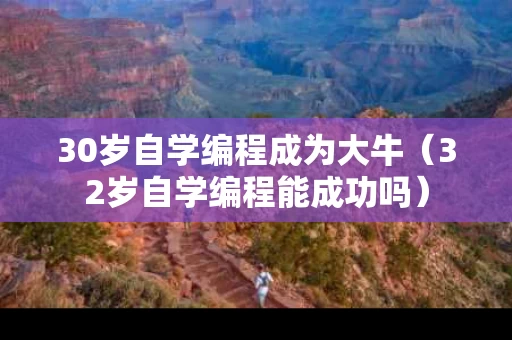 30岁自学编程成为大牛（32岁自学编程能成功吗）