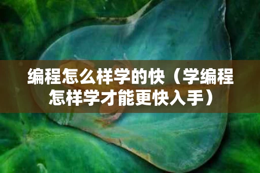 编程怎么样学的快（学编程怎样学才能更快入手）