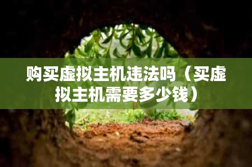 购买虚拟主机违法吗（买虚拟主机需要多少钱）