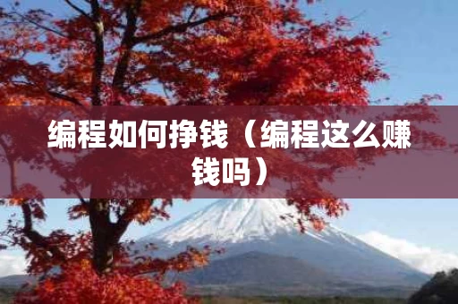 编程如何挣钱（编程这么赚钱吗）
