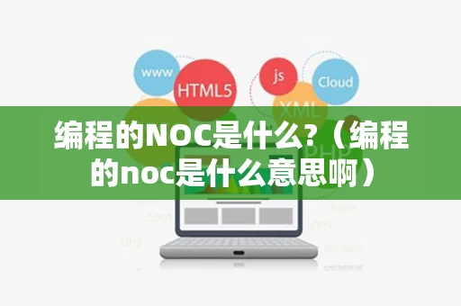 编程的NOC是什么?（编程的noc是什么意思啊）